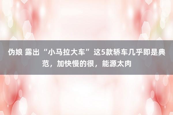 伪娘 露出 “小马拉大车” 这5款轿车几乎即是典范，加快慢的很，能源太肉