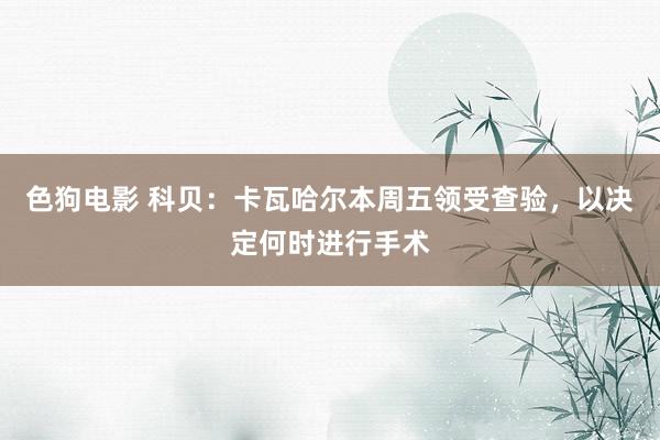 色狗电影 科贝：卡瓦哈尔本周五领受查验，以决定何时进行手术