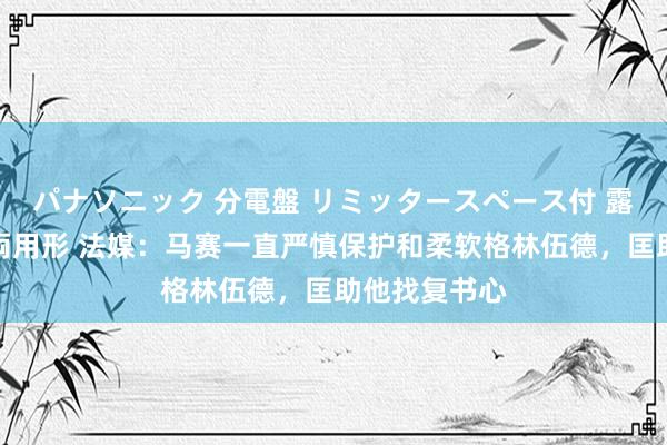 パナソニック 分電盤 リミッタースペース付 露出・半埋込両用形 法媒：马赛一直严慎保护和柔软格林伍德，匡助他找复书心