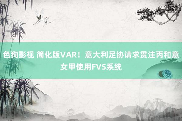 色狗影视 简化版VAR！意大利足协请求贯注丙和意女甲使用FVS系统