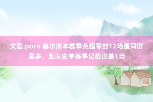 文爱 porn 塞尔斯本赛季英超零封12场是同时最多，距队史单赛季记载仅差1场